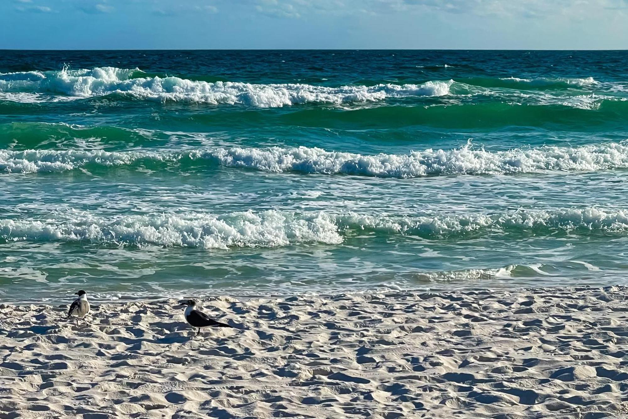 Sand Dollar E200 Pensacola Beach Buitenkant foto